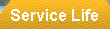 service life expectancy